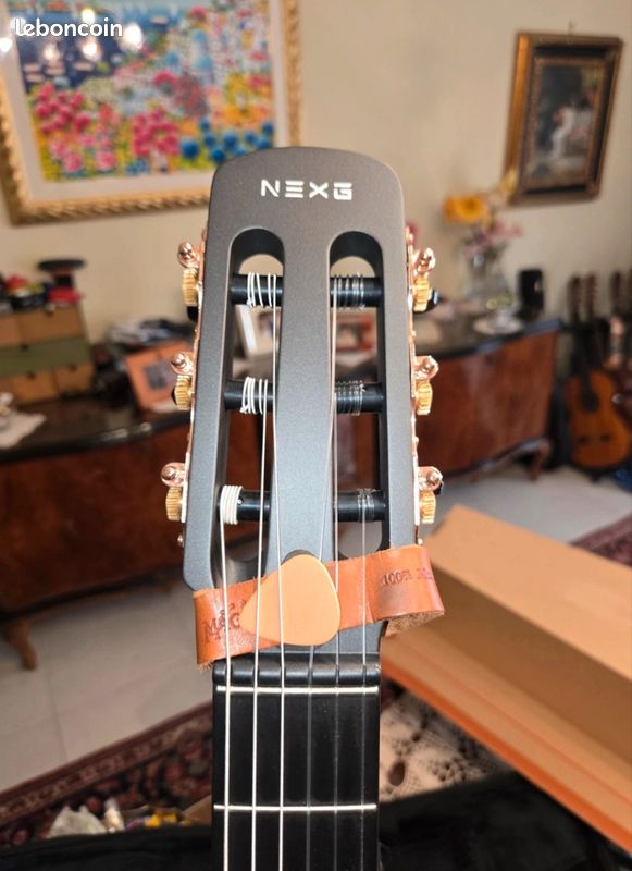 Guitare Enya Nexg 2N (image 6)