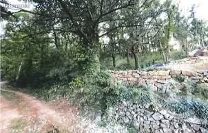Annonce vente Terrain saint-maximin-la-sainte-baume