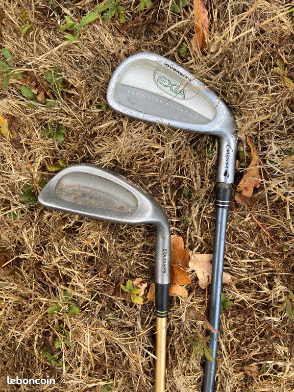 Sac de golf et 16 clubs (image 3)