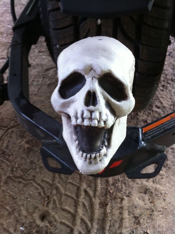 Cache boule attelage skull - Équipement moto
