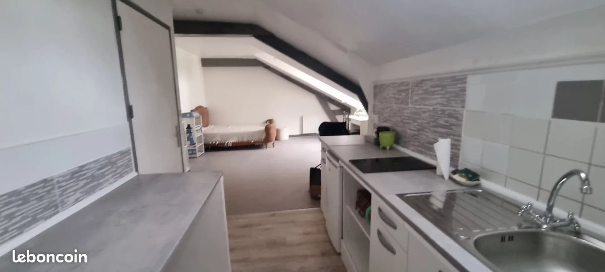 Appartement 1 pièce 26 m² - Limoges 87000 (image principale 2)