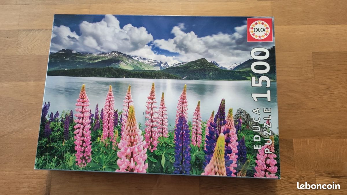 Puzzle 1500 pièces paysage montagneux et étang - complet (image 1)