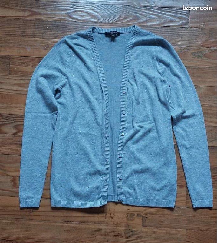 Gilet gris (image 1)