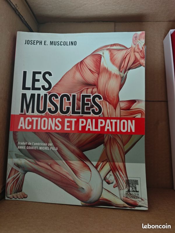 Livre d'Anatomie Michel Dufour (image 1)