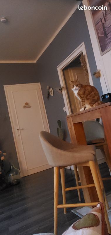 Tabouret de bar (image 3)