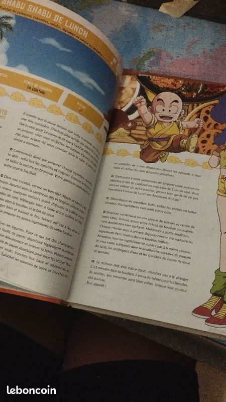 Les recette légendaire de dragon ball (image 4)