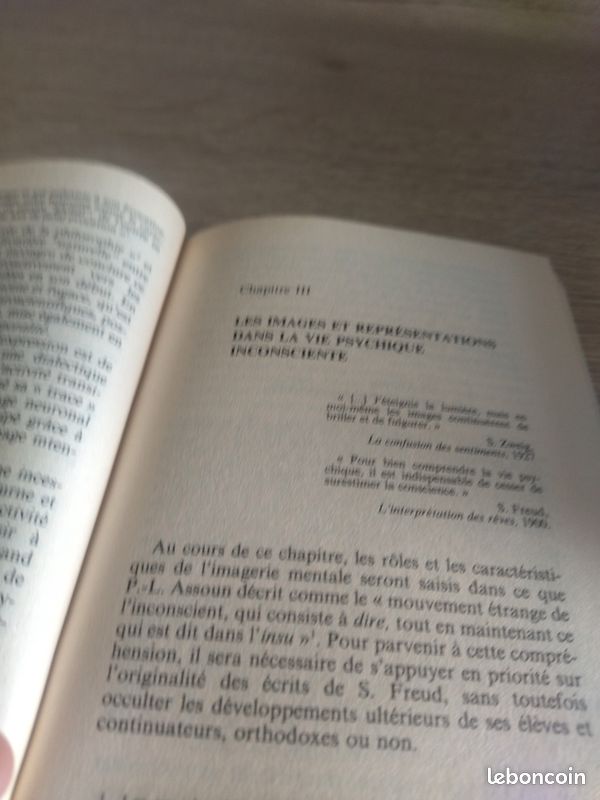 Livre L'imagerie Mentale Xavier Lameyre (image 5)