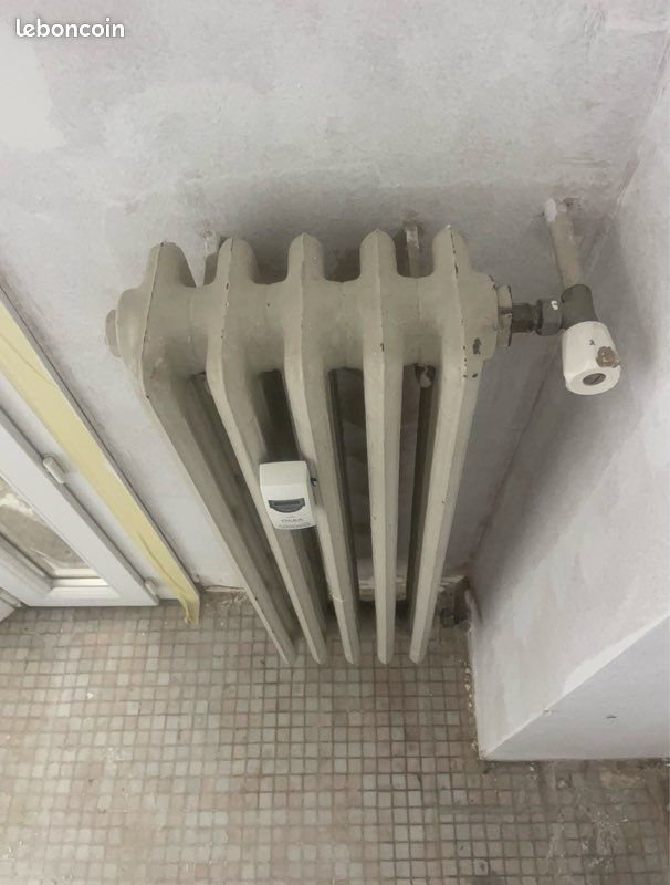 Radiateurs en Fonte (image 1)