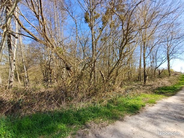 Terrain de loisirs avec ruisseau