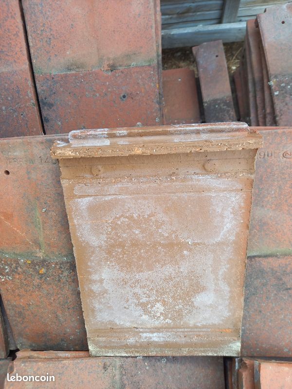 Tuile plate Terreal 20x30 (image 3)