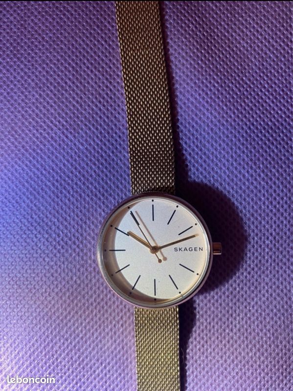 Montre Skagen (image 1)