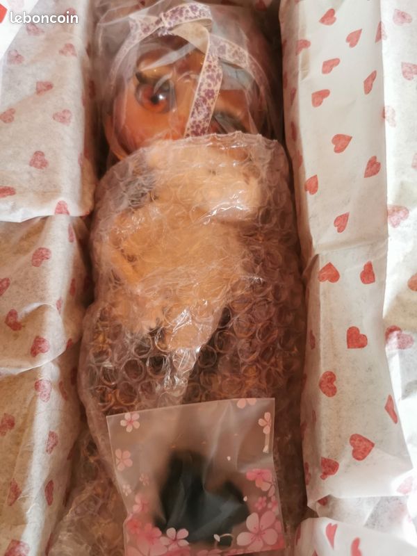 À vendre poupée blythe personnalisée signée et numerotée, nommée Leeloo (image 16)