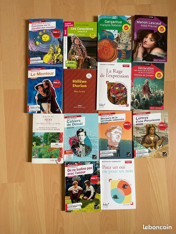 Livres lecture BAC français (image 1)