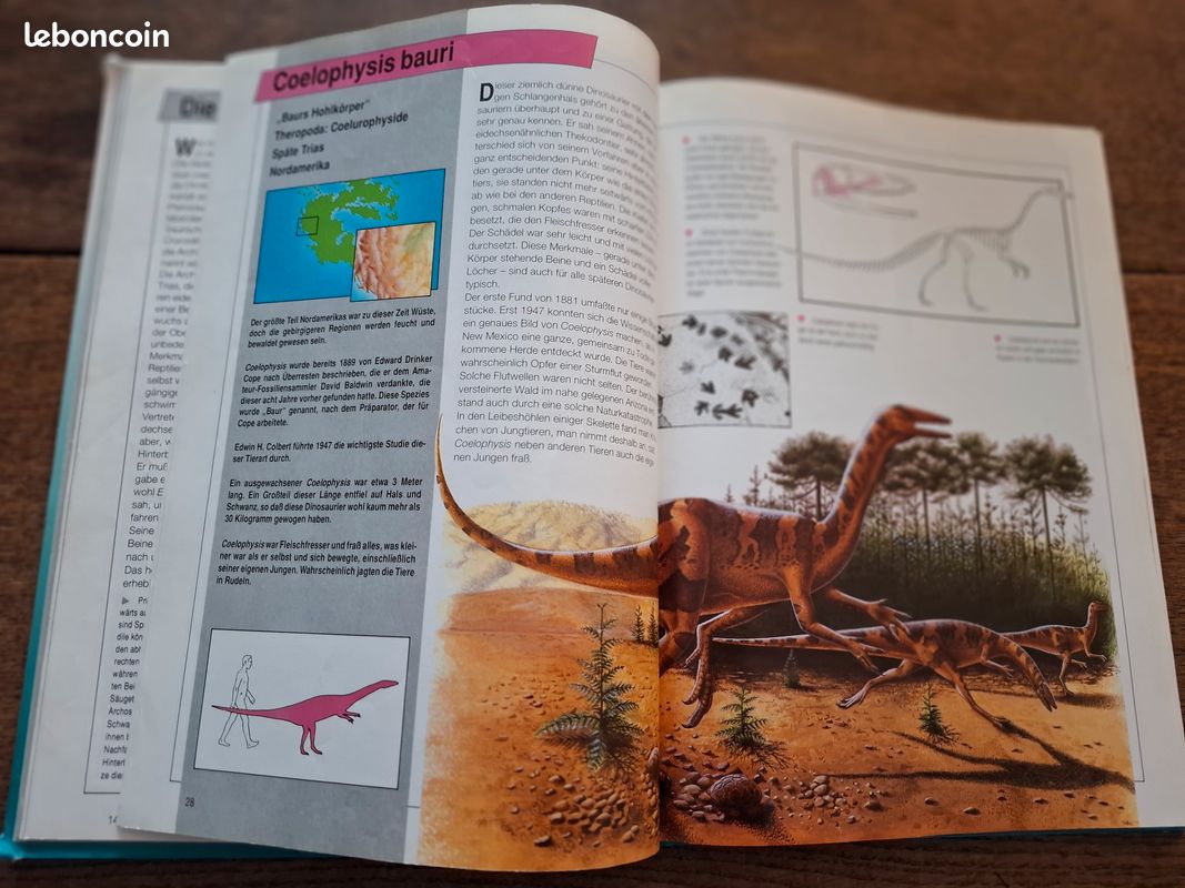 Tiere der Urzeit Dinosaurier, Douglas Dixon (image 4)