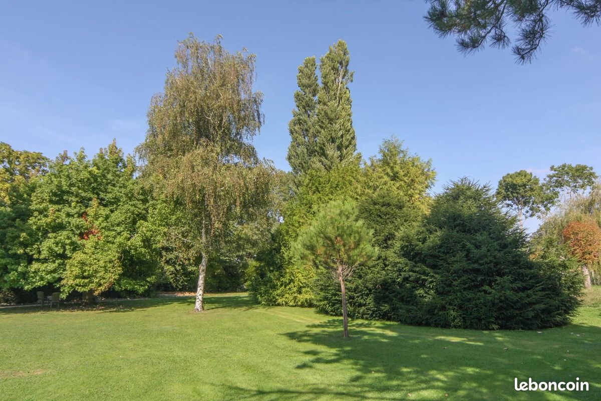 Maison 10 pièces 250 m² (image 19)