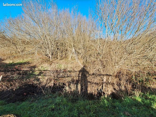 Terrain 794 m² LA TRANCHE SUR MER