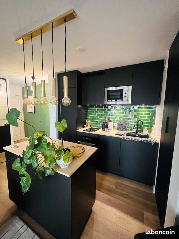 Bel Appartement 43m2 - Bordeaux 33000 (image principale 3)