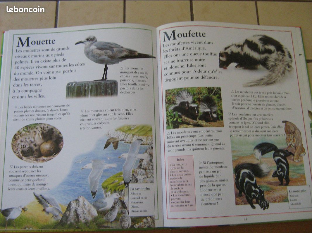 Livre le grand livre des animaux d'abeille à zèbre (image 3)