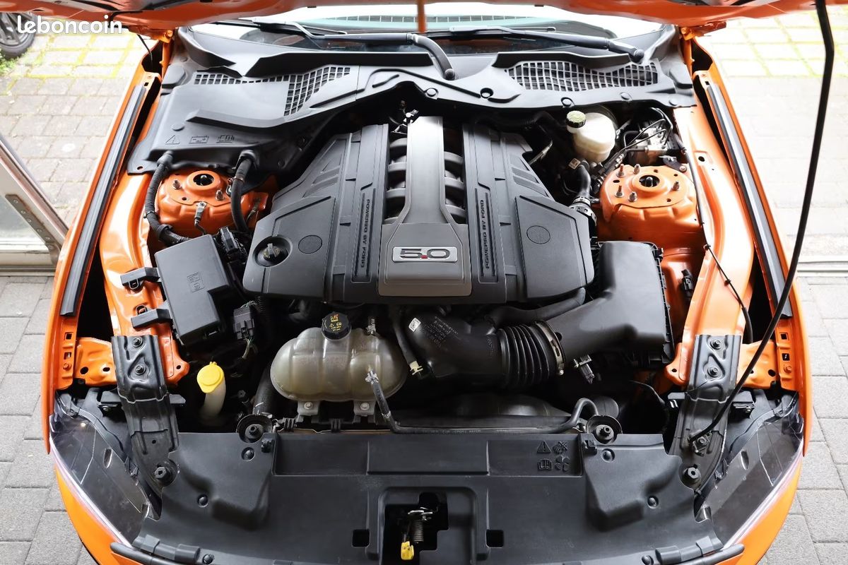 FORD Mustang GT Fifty Five Years Edition 5.0 V8 460 ch BVA10 – Twister Orange – Caméra – R19 (image 15)