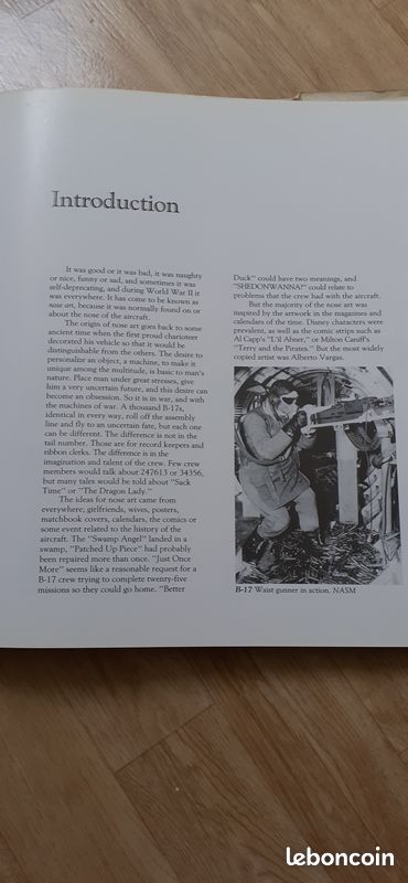 Livre usaaf ww2 nose art (image 3)