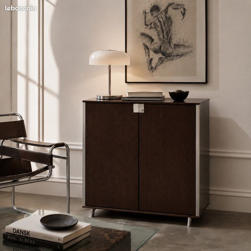 Meuble rangement moderniste vintage métal et bois foncé (image 1)