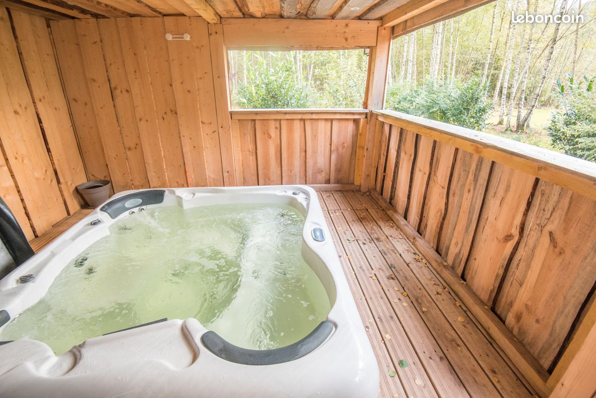 Chalet de charme, étang et jacuzzi que pour vous, pleine nature, 6 personnes (image 2)