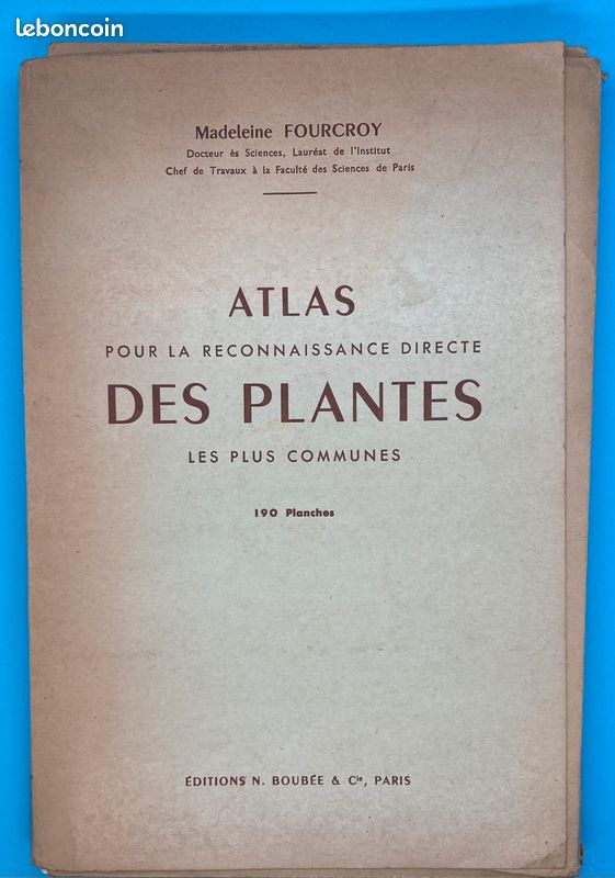 ATLAS DES PLANTES. Madeleine Fourcroy (image 1)