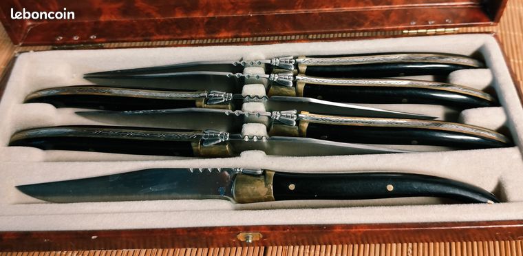 COFFRET DE 12 Anciens Couteaux De Table - Lame Inox Et Manche Corne EUR