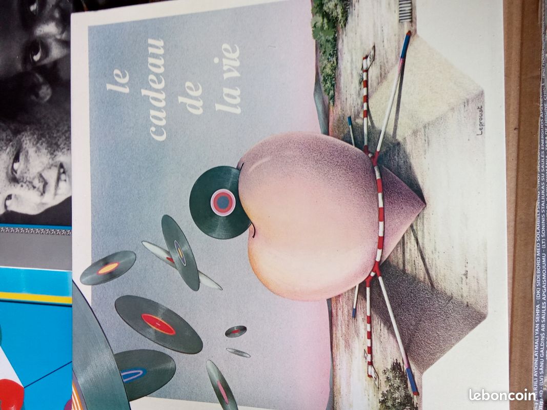 Lot vinyle. Le cadeau de la vie (image 20)