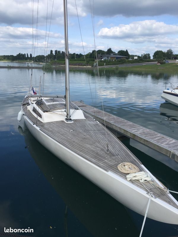 Requin Moinard — Vedi foto 1