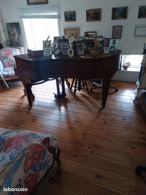 Piano a queue (image 2)