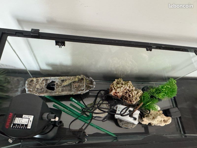 Aquarium (image 2)