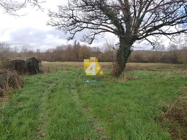 Terrain 8000 m² SAINT GILDAS DES BOIS