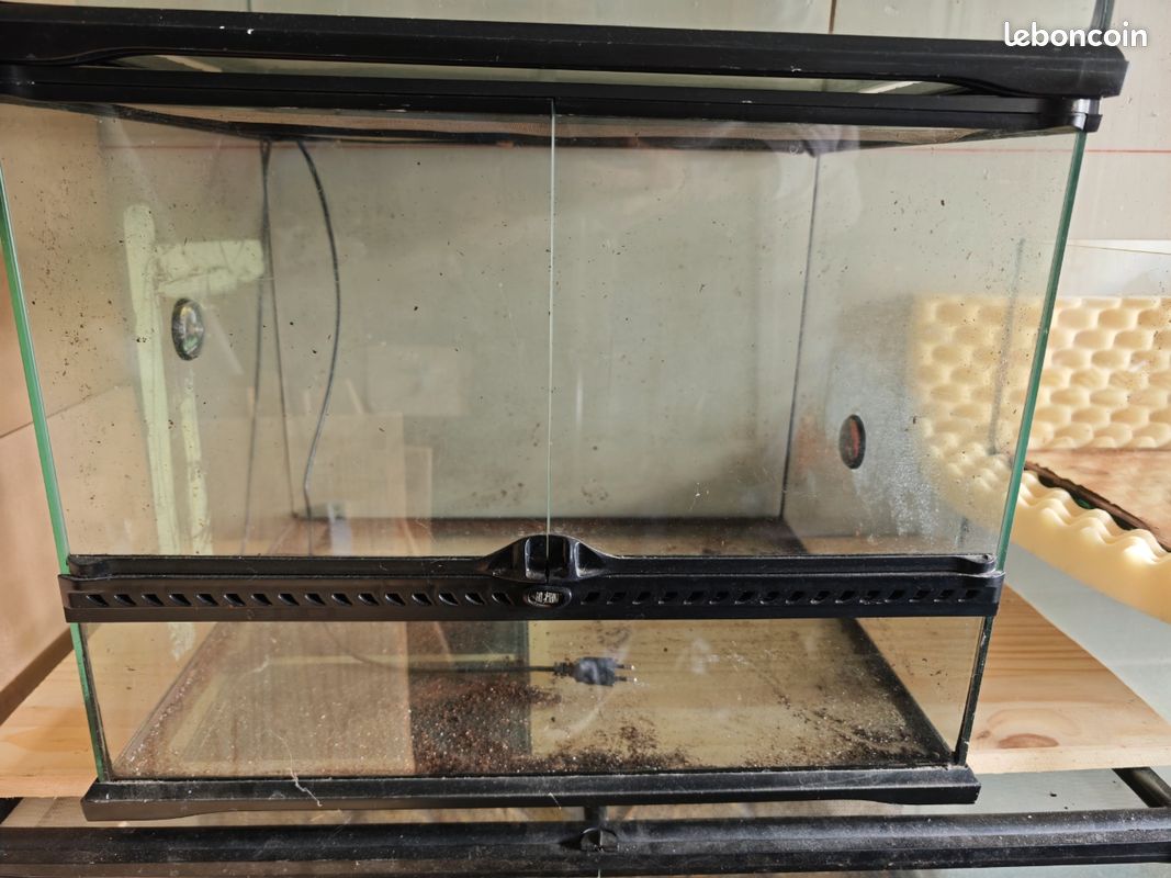 Terrarium 60x45x45 (image 1)