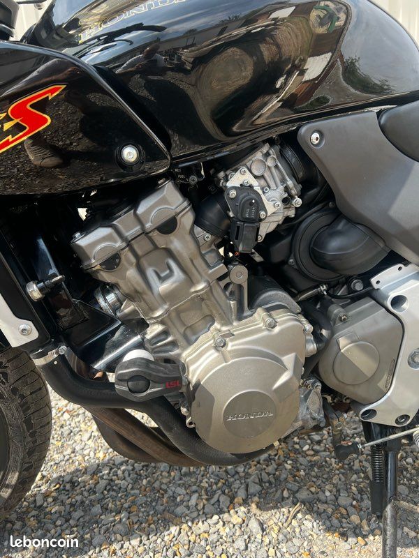 600 Hornet (image 2)