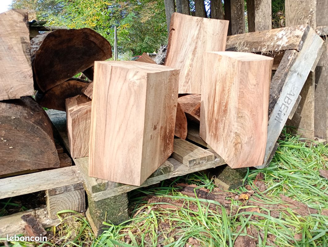 Bois pour sculpture ou tournage - Aulne, Noyer noir, bois échauffés et autres (image 7)