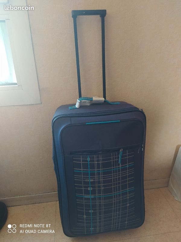 Valise (image 1)