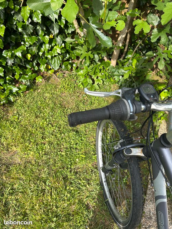 Vélo - VTT (image 4)