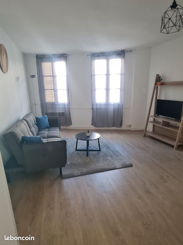 Studio meublé Adrien Dubouche - Limoges 87000 (image principale 0)