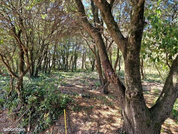 Terrain 1 782 m² Saint Montan