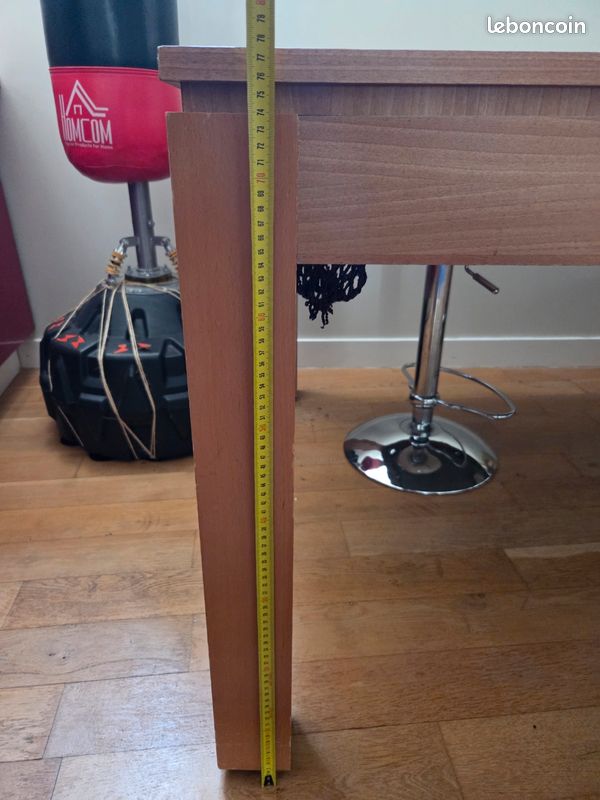 Table de Billard René Pierre (image 6)