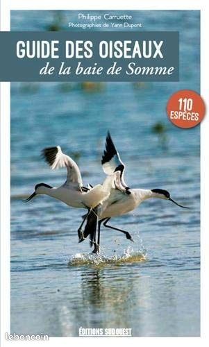 Guide oiseaux baie de somme (image 1)