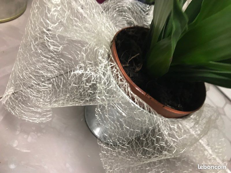 Jolie plante verte dans cache pot métal (image 3)