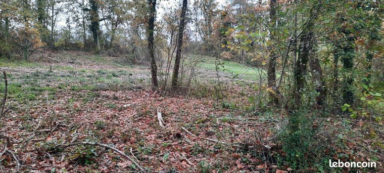 Terrain 2 300 m² Maurens