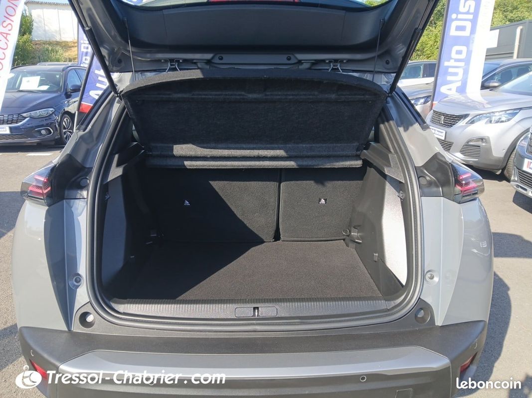 PEUGEOT 2008 PureTech 100 S&S BVM6 Active (image 15)