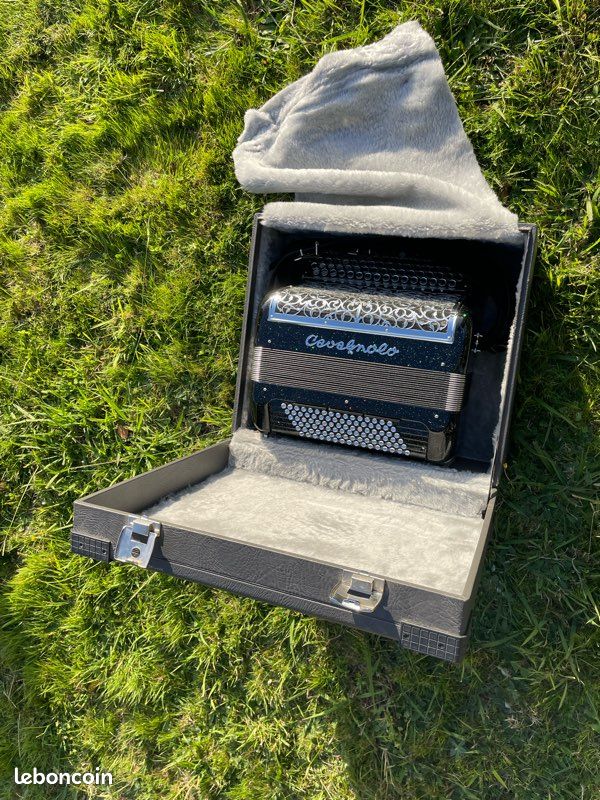 Accordéon Cavagnolo à boutons (image 2)