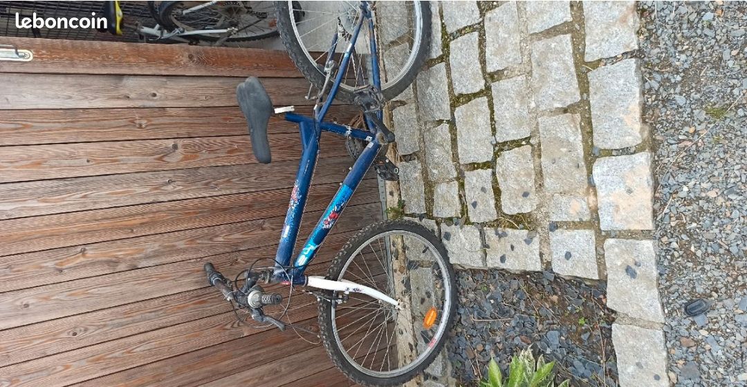 Vélo jeune ado (image 1)