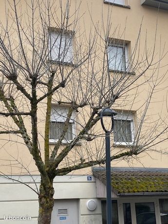 Appartement 3 pièces 69 m²