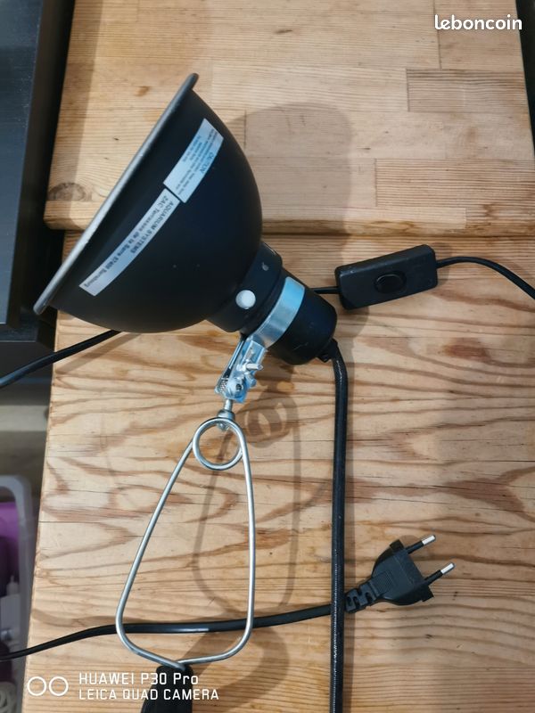 Lampe chauffante pour vivarium (image 1)