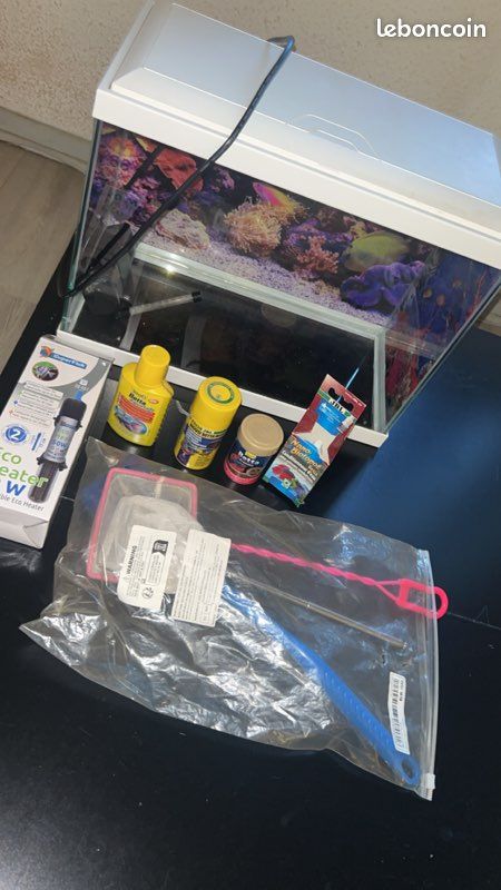 Aquarium et décoration (image 2)